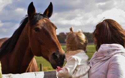 Living the Equid-able Life on The Farm